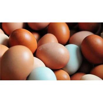 Free Range Eggs (dozen)