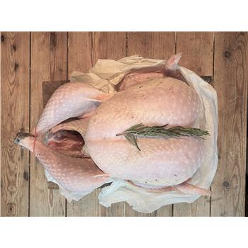 Free Range Bronze Turkey 6kg